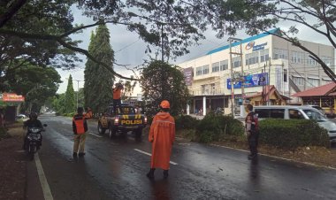 Unit Samapta Polsek Lembur situ Bersama BPBD Amankan Pohon Tumbang
