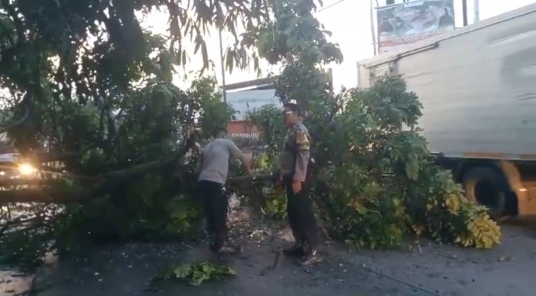 Pohon Tumbang Halangi Jalan, Bhabinkamtibmas Pasirhalang Sigap Bantu Bersihkan Jalan