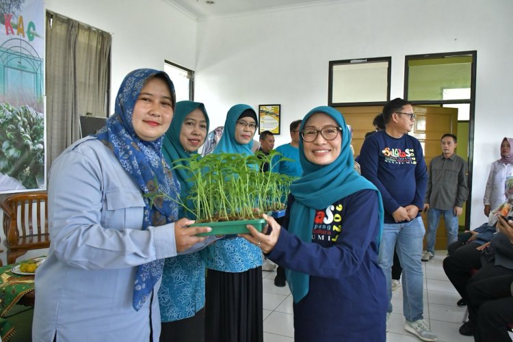 Petani Milenial Sukabumi Ikut Sekolah Lapang Agribisnis Hortikultura Budidaya Hidroponik dan Gerakan Percepatan Tanam
