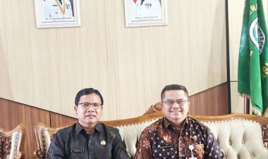 Dinkes Kaur Laksanakan Sinkronisasi Progam Kerja Dengan Dinas Provinsi Bengkulu