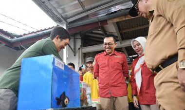 Pemkot Sukabumi Gelar Pelatihan Keterampilan Kerja, Budidaya Ikan Hias