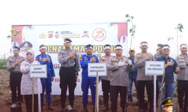 Forkopimda Indramayu, Laksanakan Penanaman Pohon di Pantai Karangsong