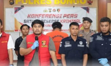 Polres Bungo Berhasil Ungkap Penyelundupan Benih Lobster Senilai 12 Milyar