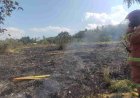 Padang Rumput Ilalang di Desa Sarimulyo Terbakar