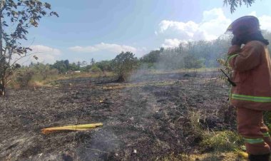 Padang Rumput Ilalang di Desa Sarimulyo Terbakar