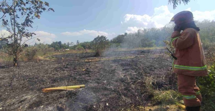 Padang Rumput Ilalang di Desa Sarimulyo Terbakar