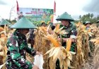 Danrem 131/STG Panen Jagung Perdana Dikebun Hanpangan Kodim 1310/Bitung