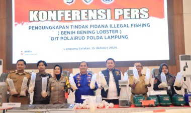 Ungkap 149.400 Ekor BBL, Polda Lampung Selamatkan Kerugian Negara Rp37,3 M