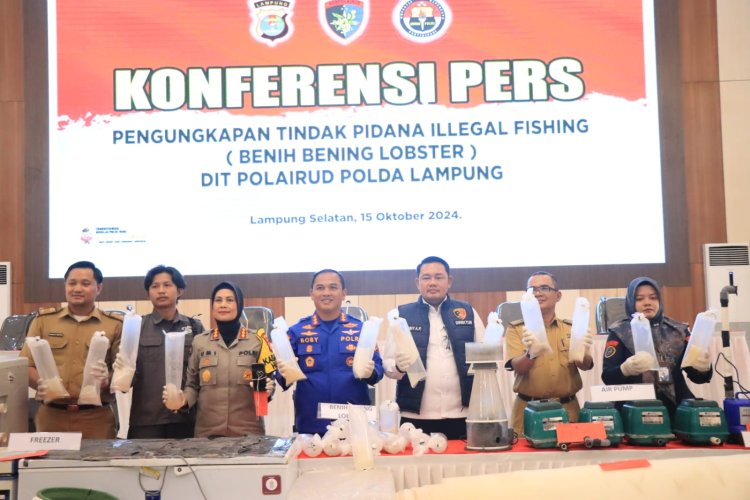 Ungkap 149.400 Ekor BBL, Polda Lampung Selamatkan Kerugian Negara Rp37,3 M