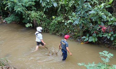 Polsek Sukaraja dan Tim Damkar Berhasil Evakuasi Ular Piton Sepanjang 3 Meter di Pemukiman Warga