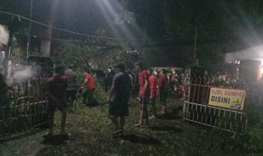 Pohon Tumbang di Depan STT Satyabhakti Malang: Dua Korban Jiwa, Dua Anak Selamat