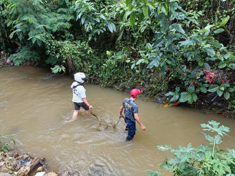 Polsek Sukaraja dan Tim Damkar Berhasil Evakuasi Ular Piton Sepanjang 3 Meter di Pemukiman Warga