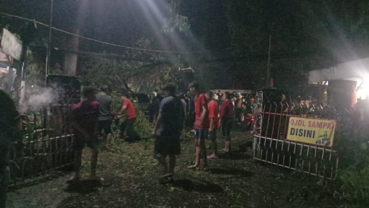 Pohon Tumbang di Depan STT Satyabhakti Malang: Dua Korban Jiwa, Dua Anak Selamat