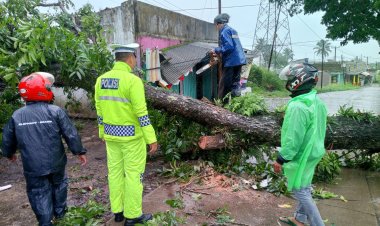 Sigap , Personel Polsek Sukalarang Bantu Warga Evakuasi Pohon Tumbang