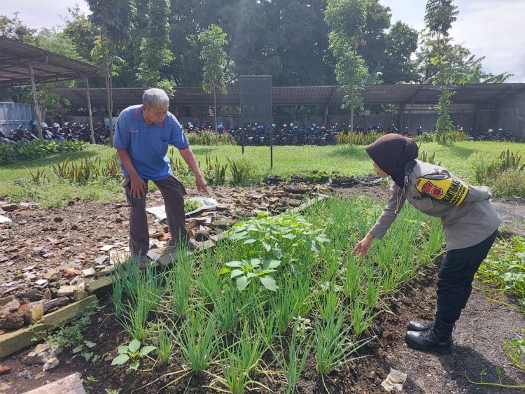 Efektifkan Pekarangan Rumah, Bhabinkamtibmas Bersama Warga Tingkatkan Swasembada dan Ketahanan Pangan Nasional