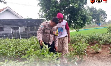 Bhabinkamtibmas Polres Indramayu Kelola Kebun Sayur Untuk Dukung Ketahanan Pangan