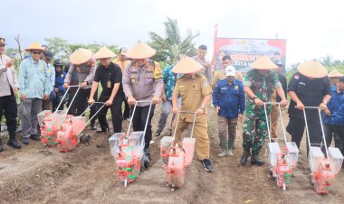Polres Kaur Pimpin Gerakan Tanam Jagung Serentak