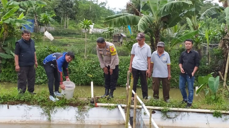 Polsek Sukabumi Berkomitmen Dukung Program Swasembada Pangan, Tebar 5000 Bibit Ikan Nila