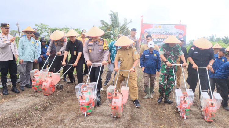 Polres Kaur Pimpin Gerakan Tanam Jagung Serentak