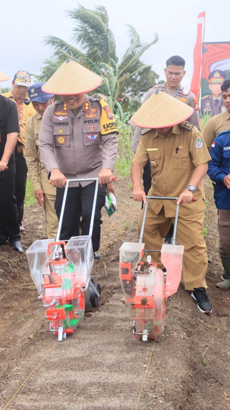 Polres Kaur Pimpin Gerakan Tanam Jagung Serentak