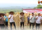 Polres Kuningan Gelar Panen Jagung Swasembada Ketahanan Pangan di Lahan KPH