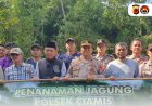 Personel Polres Ciamis Ikut Penanaman Jagung di Lahan Milik Warga