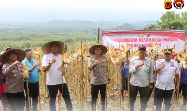 Polres Kuningan Gelar Panen Jagung Swasembada Ketahanan Pangan di Lahan KPH