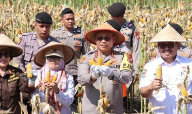 Polda Bengkulu Rencanakan Peningkatan Swasembada Jagung
