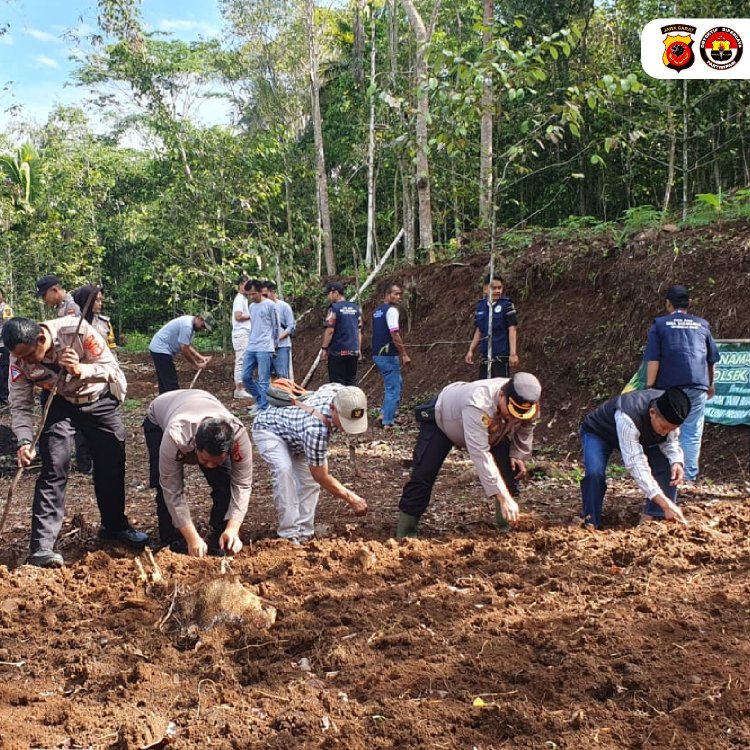 Personel Polres Ciamis Ikut Penanaman Jagung di Lahan Milik Warga