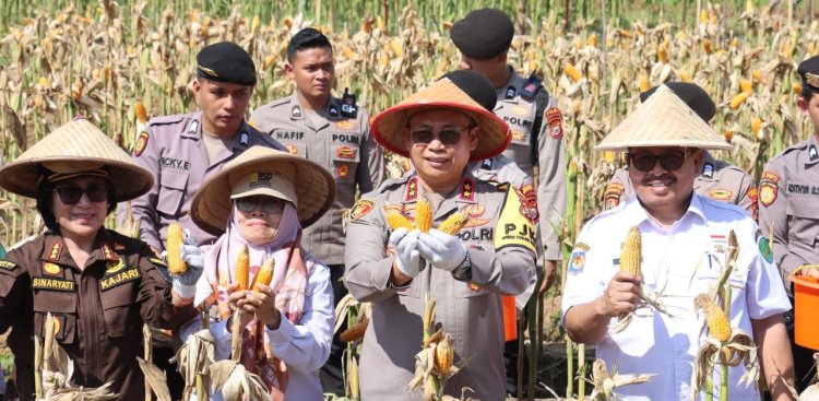 Polda Bengkulu Rencanakan Peningkatan Swasembada Jagung