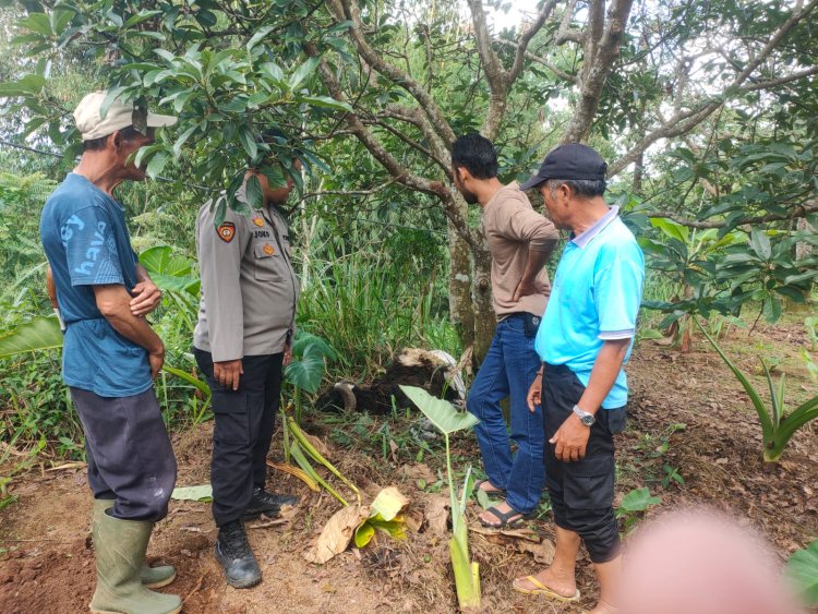 Terima Laporan Warga,Unit Reskrim Polsek Sukaraja Lakukan Cek TKP Pencurian Hewan Ternak