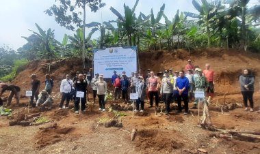 Pemerintah Desa Semplak Laksanakan Penanaman Pohon Pisang dan Talas