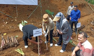 Camat Sukalarang Hadiri Kegiatan Penanaman Pohon Pisang dan Talas di Desa Semplak