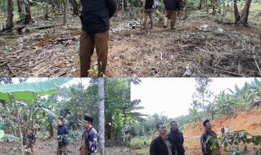 Sekmat Tinjau Penanaman Pohon Pisang dan Talas di Desa Semplak Untuk Program Ketahanan Pangan