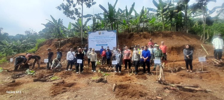 Pemerintah Desa Semplak Laksanakan Penanaman Pohon Pisang dan Talas