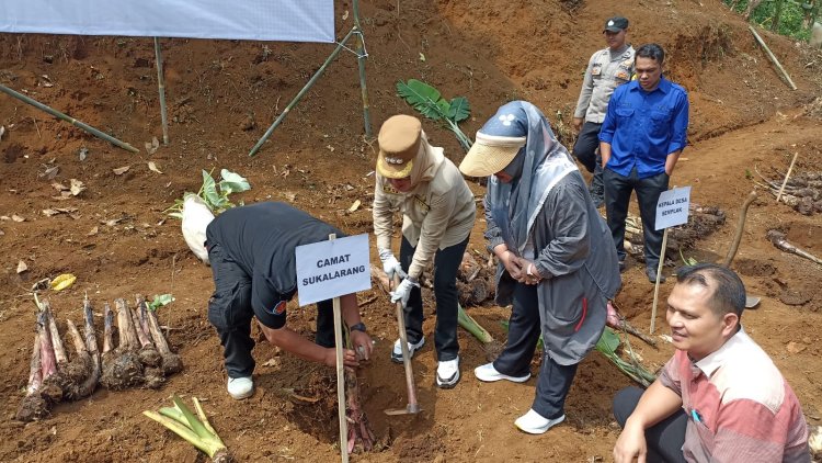 Camat Sukalarang Hadiri Kegiatan Penanaman Pohon Pisang dan Talas di Desa Semplak