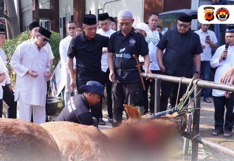 Polda Jabar Sumbangkan 77 Ekor Sapi dan 35 Ekor Kambing Untuk Qurban