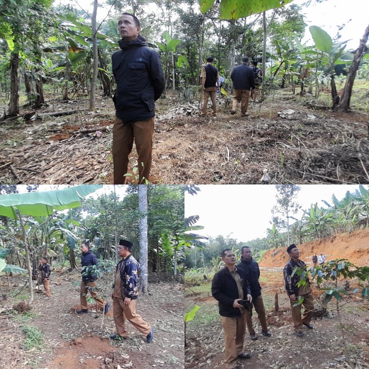 Sekmat Tinjau Penanaman Pohon Pisang dan Talas di Desa Semplak Untuk Program Ketahanan Pangan