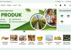 Tokodesa: Platform Inovatif untuk Perkuat Rantai Pasok Komoditas Desa