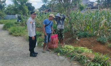 Dukung Program Ketahanan Pangan Nasional, Ini Yang Dilakukan Kapolsek Sukaraja