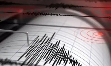 Gempa Dahsyat 8,7 SR Guncang Rusia Timur, Tsunami Ancam Wilayah Pasifik