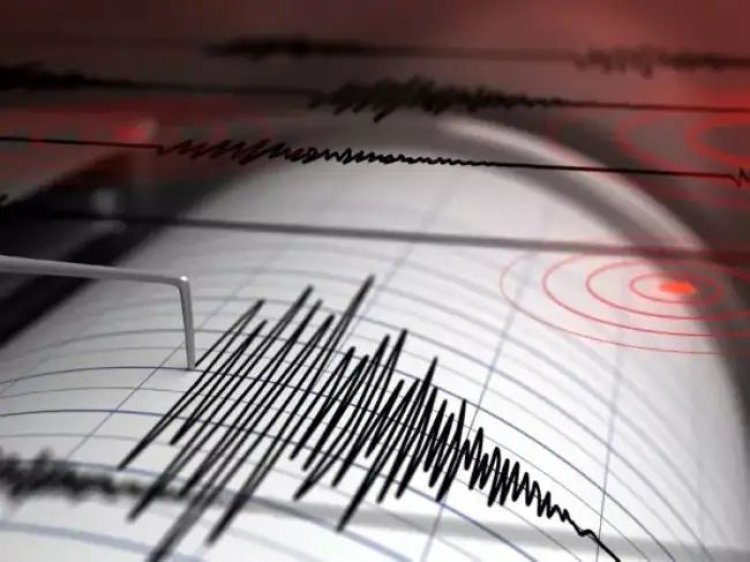 Gempa Dahsyat 8,7 SR Guncang Rusia Timur, Tsunami Ancam Wilayah Pasifik
