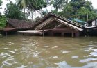 Banjir Terjang Kabupaten Ketapang, Ribuan Rumah Terendam