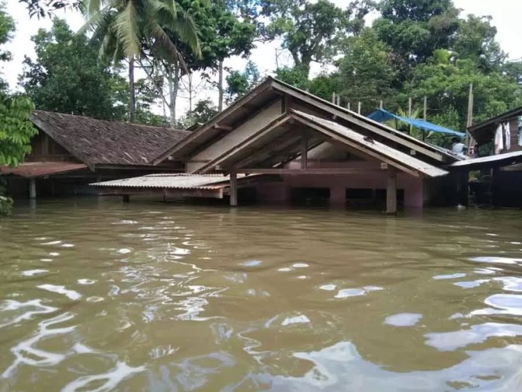 Banjir Terjang Kabupaten Ketapang, Ribuan Rumah Terendam