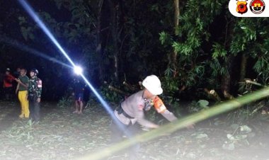 Reaksi Cepat Tim Sar Brimob Polda Jabar Evakuasi Pohon Tumbang Di Wilayah Sumedang
