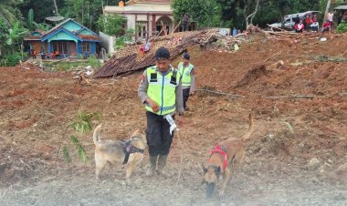 Tim K9 Polri Terus Lakukan Pencarian Korban Longsor Di Cilacap