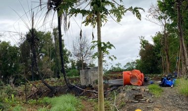 Pemulihan Lahan Pasca Kebakaran Kandang Ayam di Desa Kedunglo Mulai Dilakukan
