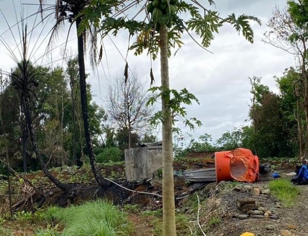 Pemulihan Lahan Pasca Kebakaran Kandang Ayam di Desa Kedunglo Mulai Dilakukan