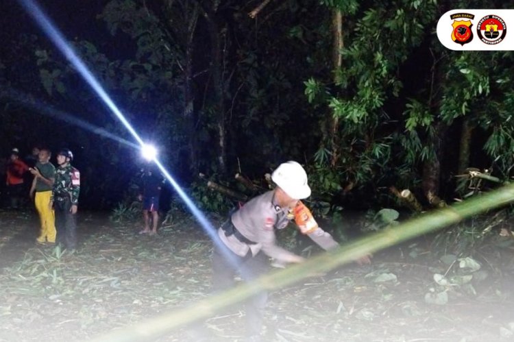 Reaksi Cepat Tim Sar Brimob Polda Jabar Evakuasi Pohon Tumbang Di Wilayah Sumedang