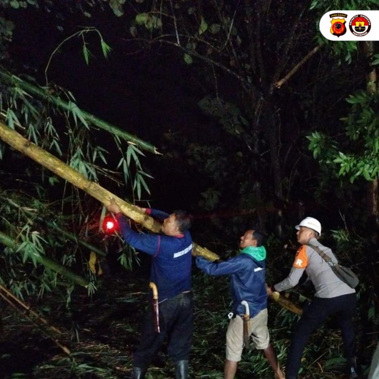 Reaksi Cepat Tim Sar Brimob Polda Jabar Evakuasi Pohon Tumbang Di Wilayah Sumedang